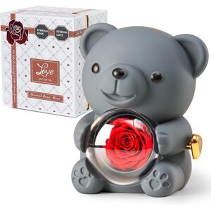 Ariceleo Grey Teddy Bear With Preserved Rose, Real Rose Flower In Bear, Elegant Gift Box Ariceleo Grey Teddy Bear With Preserved Rose, Real Rose Flower In Bear, Elegant Gift Box