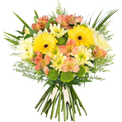 Prestigeflowers Seasons Joy Fresh Flowers Handcrafted Bouquet, Stunning Yellow Germini, Peruvian Prestigeflowers Seasons Joy Fresh Flowers Handcrafted Bouquet, Stunning Yellow Germini, Peruvian
