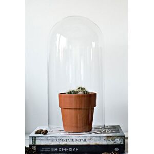 Emh Mouth Blown Clear Glass Circular Display Dome Cloche Bell Tall 40x20 Cm Emh Mouth Blown Clear Glass Circular Display Dome Cloche Bell Tall 40x20 Cm