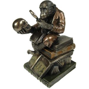 Nemesis Now Darwinism Of Evolutionary Theory Box 17.5cm Bronze, Resin Nemesis Now Darwinism Of Evolutionary Theory Box 17.5cm Bronze, Resin