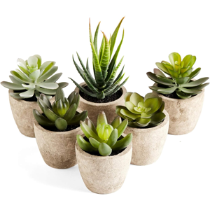Branded Artificial Succulents Plants Potted Set-Decorative Fake Succulent Plant Faux Pla Branded Artificial Succulents Plants Potted Set-Decorative Fake Succulent Plant Faux Pla