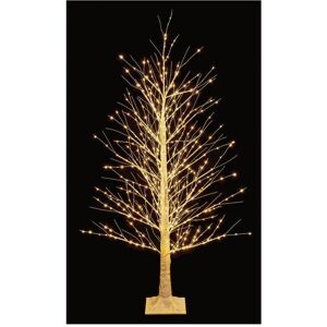 Christmas Crackers 1.8m Lit Birch Trees Warm White Indoors & Outdoors Xmas Decoration Christmas Crackers 1.8m Lit Birch Trees Warm White Indoors & Outdoors Xmas Decoration