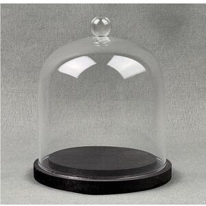Emh Small Glass Dome Display Cloche With Knob And Black Wooden Base 11.5 X 10 Cm Emh Small Glass Dome Display Cloche With Knob And Black Wooden Base 11.5 X 10 Cm