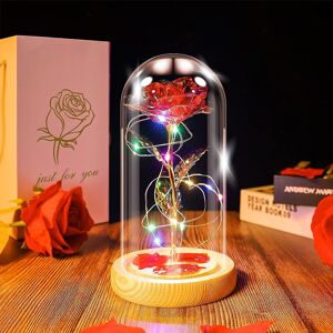 Ptesuply Beauty And The Beast Rose Lamp In The Glass Dome, Eternal Rose Artific Ptesuply Beauty And The Beast Rose Lamp In The Glass Dome, Eternal Rose Artific