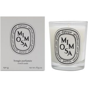 Diptyque Mimosa Scented Candle - Scented Candle Diptyque Mimosa Scented Candle - Scented Candle