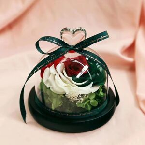 Beauty And The Beast Natural Preserved Flowers Eternal Rose Home Decoration Beauty And The Beast Natural Preserved Flowers Eternal Rose Home Decoration