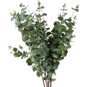 Leaf Artificial Foliage Eucalyptus Foliage 100cm Pack Of 6 Leaf Artificial Foliage Eucalyptus Foliage 100cm Pack Of 6