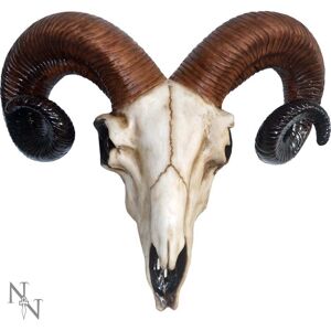 Nemesis Now Realistic Wall Mounted Rams Skull Nemesis Now Realistic Wall Mounted Rams Skull