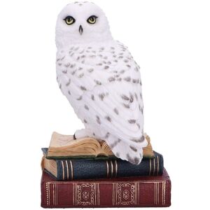 Nemesis Now Library Of Wisdom White Owl Figurine Nemesis Now Library Of Wisdom White Owl Figurine