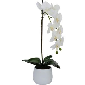 Greenbrokers Elegant Large Single Stem White Artificial Potted Orchid Round White Ceramic Pot Greenbrokers Elegant Large Single Stem White Artificial Potted Orchid Round White Ceramic Pot