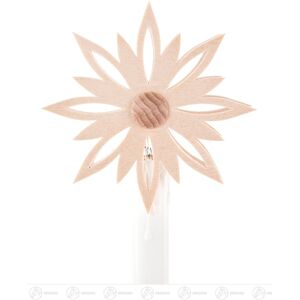 Großhandel Dregeno Accessories Candle Holder Stars, Set 2 (10) Wxhxd 8 Cmx8 Cmx3 Cm New Erzgebirge Großhandel Dregeno Accessories Candle Holder Stars, Set 2 (10) Wxhxd 8 Cmx8 Cmx3 Cm New Erzgebirge