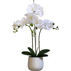 Greenbrokers Elegant Large Triple Stem White Artificial Potted Orchid White Ceramic Pot Greenbrokers Elegant Large Triple Stem White Artificial Potted Orchid White Ceramic Pot