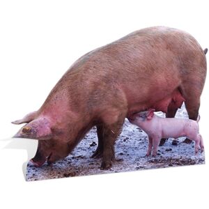 Pig & Piglet Lifesize Cardboard Cutout Fun Figure 92cm Tall - For Your Party Pig & Piglet Lifesize Cardboard Cutout Fun Figure 92cm Tall - For Your Party
