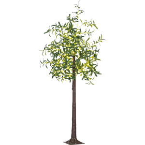 Homcom 180cm Olive Tree Light With 300 Warm White Led Lights Artificial Tree Homcom 180cm Olive Tree Light With 300 Warm White Led Lights Artificial Tree