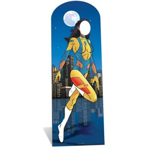 Superhero Female Stand-In Lifesize Cardboard Cutout / Standee - Fun Party Photos Superhero Female Stand-In Lifesize Cardboard Cutout / Standee - Fun Party Photos