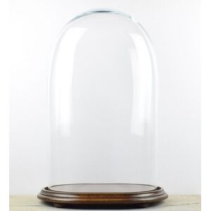 Emh Handmade Mouth Blown Clear Oval Glass Dome With Wooden Base 50 X 30 X 21.... Emh Handmade Mouth Blown Clear Oval Glass Dome With Wooden Base 50 X 30 X 21....