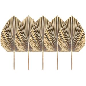 Sodial 15pcs Natural Dried Palm Leaves Tropical Dried Palm Fans Boho Dry Leaves4369 Sodial 15pcs Natural Dried Palm Leaves Tropical Dried Palm Fans Boho Dry Leaves4369
