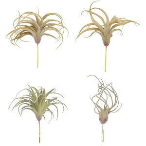 Sodial 3x(4pack Artificial Pineapple Grass Air Plants Fake Flowers Faux Flocking4394 Sodial 3x(4pack Artificial Pineapple Grass Air Plants Fake Flowers Faux Flocking4394
