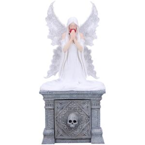 Nemesis Now Anne Stokes Only Love Remains Fairy Figurine Storage Box Nemesis Now Anne Stokes Only Love Remains Fairy Figurine Storage Box