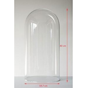 Emh Large Glass Dome Display Cloche Bell Jar 40 X 20 Cm Emh Large Glass Dome Display Cloche Bell Jar 40 X 20 Cm