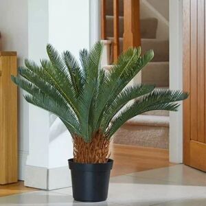 Marco Paul Artificial Palm Tree Realistic Faux Potted Plant Home Indoor Decor Ornament 79cm Marco Paul Artificial Palm Tree Realistic Faux Potted Plant Home Indoor Decor Ornament 79cm