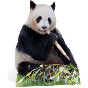 Giant Panda With Bamboo Lifesize Cardboard Cutout / Standup / Standee - Wildlife Giant Panda With Bamboo Lifesize Cardboard Cutout / Standup / Standee - Wildlife