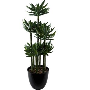 Leaf Design Uk Artificial Yukka Tropical House Plant, 60 Cm Leaf Design Uk Artificial Yukka Tropical House Plant, 60 Cm
