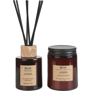Beliani - Candle and Reed Diffuser Set - Amber Brown Beliani - Candle and Reed Diffuser Set - Amber Brown