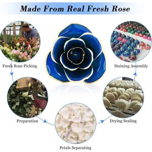 Long Stem Dipped 24k Gold Rose In Gift Box With Clear Display Stand Long Stem Dipped 24k Gold Rose In Gift Box With Clear Display Stand