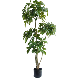 150cm Radermachera Realistic Artificial Tree 150cm Radermachera Realistic Artificial Tree