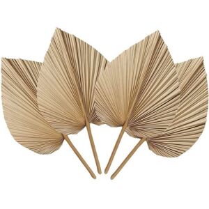 Sodial 3x(4 Pieces Natural Dried Palm Leaves Are Perfect For Palm Leaf Decor, Boho4393 Sodial 3x(4 Pieces Natural Dried Palm Leaves Are Perfect For Palm Leaf Decor, Boho4393