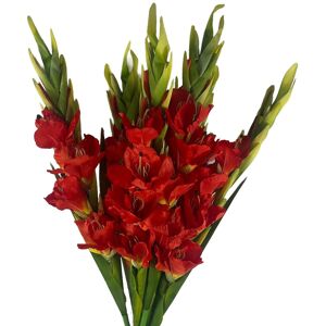 Leaf Artificial Orange Gladioli Stem Flower 115cm Large Realistic Pack Of 6 Leaf Artificial Orange Gladioli Stem Flower 115cm Large Realistic Pack Of 6