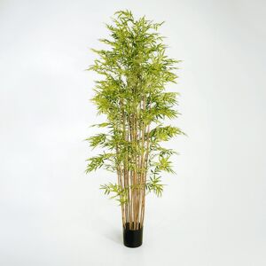 Blooming Artificial - 210cm / 7ft Faux Japanese Bamboo - Indoor Use - Pack Of 1 Blooming Artificial - 210cm / 7ft Faux Japanese Bamboo - Indoor Use - Pack Of 1
