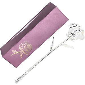 Silver Long Stem Rose Gifts Dipped 24k Real Artificial Flower With Leaf Sg Silver Long Stem Rose Gifts Dipped 24k Real Artificial Flower With Leaf Sg