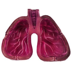 Sodial 3x(Human Organ Body Art Lung Shape Resin Ashtray Home Room Tabletop2768 Sodial 3x(Human Organ Body Art Lung Shape Resin Ashtray Home Room Tabletop2768