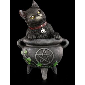 Witch Cat Figurine - Smudge - Nemesis Now Black Kitten Cauldron Witchcraft Decor Witch Cat Figurine - Smudge - Nemesis Now Black Kitten Cauldron Witchcraft Decor