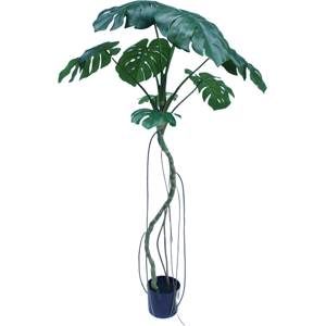 180cm Monstera Realistic Artificial Tree Green 180cm Monstera Realistic Artificial Tree Green