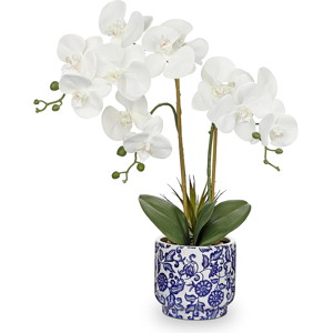 Does Not Apply Orchid Artificial Flowers In Pot 19.6\" White Orchid With Blue And White Ceramic Does Not Apply Orchid Artificial Flowers In Pot 19.6\" White Orchid With Blue And White Ceramic
