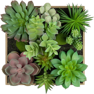 Branded Artificial Succulents Wall Plant 7.8\" Fake Hanging Plant Indoors 3d Faux Succule Branded Artificial Succulents Wall Plant 7.8\" Fake Hanging Plant Indoors 3d Faux Succule