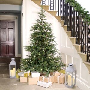 7ft Pre-Lit Everlands Grandis Fir Artificial Christmas Tree 7ft Pre-Lit Everlands Grandis Fir Artificial Christmas Tree