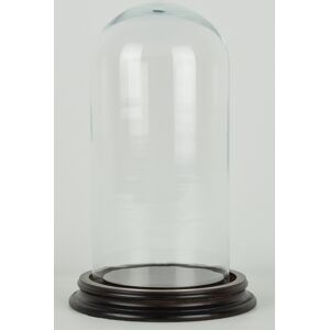 Emh Vintage Look Small Glass Dome With Wooden Base Height 25.5 X 11 Cm Emh Vintage Look Small Glass Dome With Wooden Base Height 25.5 X 11 Cm
