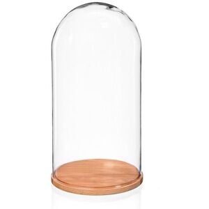 Emh Small Glass Dome Cloche Cover With Natural Wooden Base 20 X 10 Cm Emh Small Glass Dome Cloche Cover With Natural Wooden Base 20 X 10 Cm