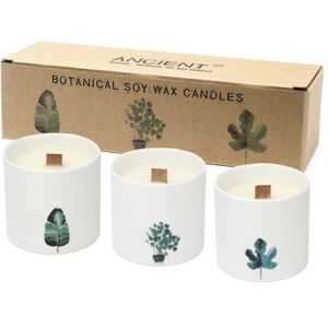Ancient Wisdom Large Botanical Candles - Victorian Peony Ancient Wisdom Large Botanical Candles - Victorian Peony