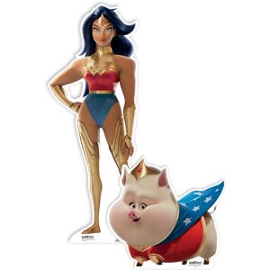 Packard Bell Wonder Woman And Pb Dc League Of Super-Pets Cardboard Cutouts Twin Pack Packard Bell Wonder Woman And Pb Dc League Of Super-Pets Cardboard Cutouts Twin Pack