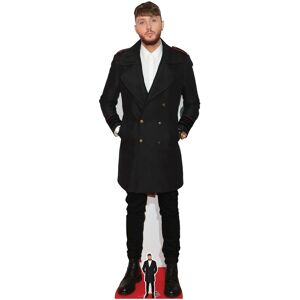 James Arthur Lifesize And Free Mini Cardboard Cutout / Standee / Standup James Arthur Lifesize And Free Mini Cardboard Cutout / Standee / Standup