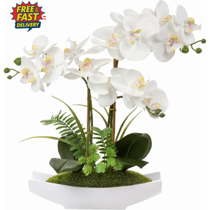 Does Not Apply White Orchid Artificial Flowers In Ceramic Pot Fake Orchid White Silk Phalaenops Does Not Apply White Orchid Artificial Flowers In Ceramic Pot Fake Orchid White Silk Phalaenops