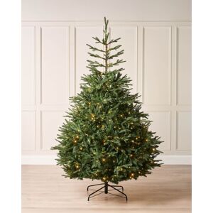 Werchristmas Pre-Lit Nordmann Fir Christmas Tree 7ft Led Artificial Xmas Tree Werchristmas Pre-Lit Nordmann Fir Christmas Tree 7ft Led Artificial Xmas Tree