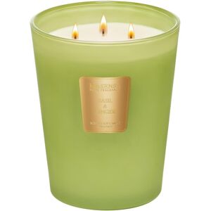 M&sense Basil Ginger Extra Large Soy Scented Candle Gifts For Women, 990g 150h M&sense Basil Ginger Extra Large Soy Scented Candle Gifts For Women, 990g 150h