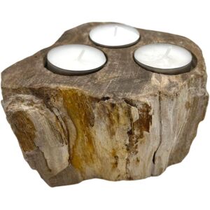 Ancient Wisdom Petrified Wood Candle Holder - Triple Ancient Wisdom Petrified Wood Candle Holder - Triple