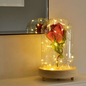 Angraves Glistening Cerise Handmade Enchanted Rose In Glass Dome Bell Jar With Led Lights Angraves Glistening Cerise Handmade Enchanted Rose In Glass Dome Bell Jar With Led Lights